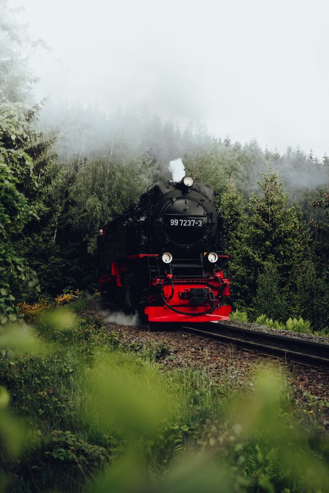 640x960, 100 Kb / паровоз, ж/д, деревья, лес, дым