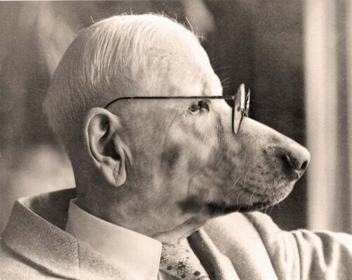 500x398, 43 Kb / очки, морда