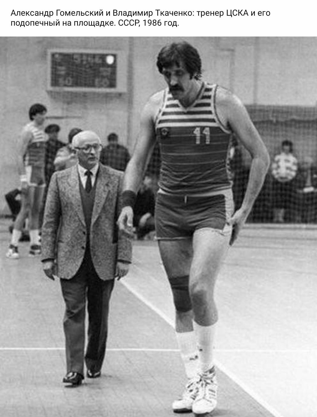 1050x1382, 134 Kb / ч/б, баскетбол, тренер  Александр Гомельский, Владимир Ткаченко, пиджак, шорты, усы, очки, спорт, СССР