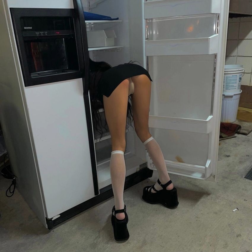 850x850, 72 Kb / холодильник, гольфы, полки, ведра, ведро, платформа,