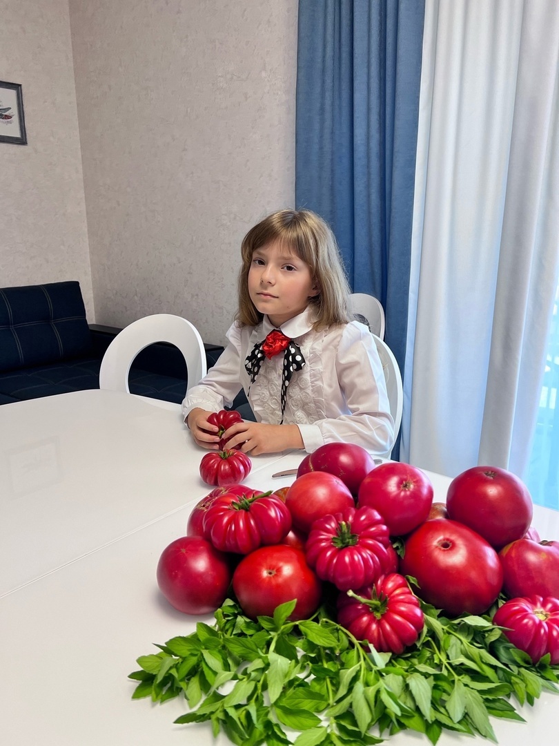 810x1080, 258 Kb / томаты, помидоры, мята, стол, девочка, стул, диван, шторы