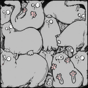 300x300, 58 Kb / коты, квадрат