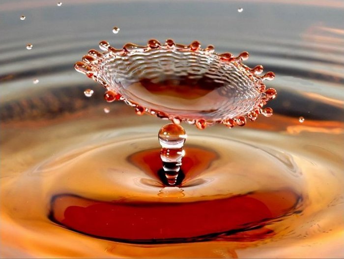 700x526, 56 Kb / вода, капля