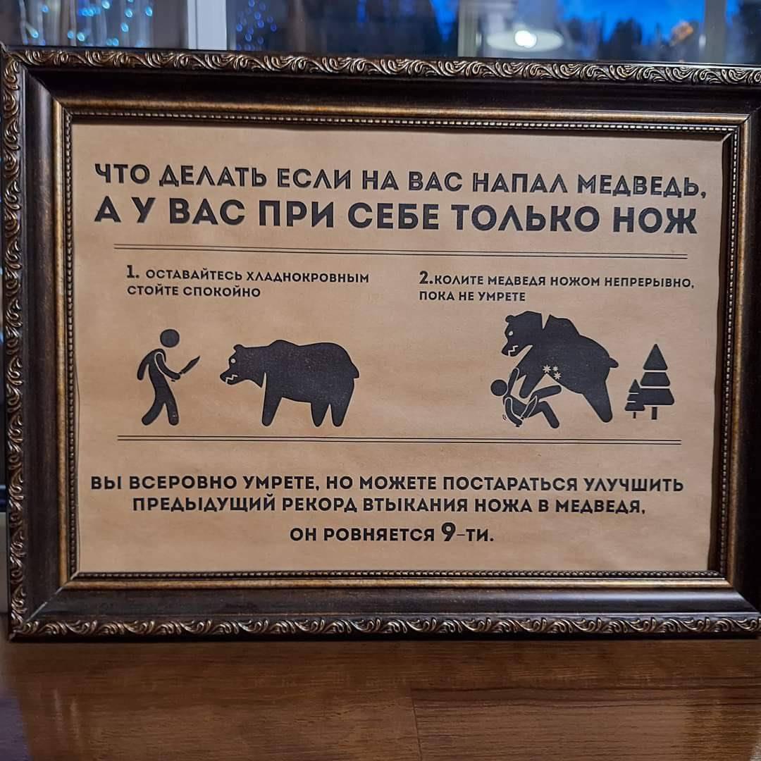 1080x1080, 147 Kb / медведь, нож, нападение, рекорд