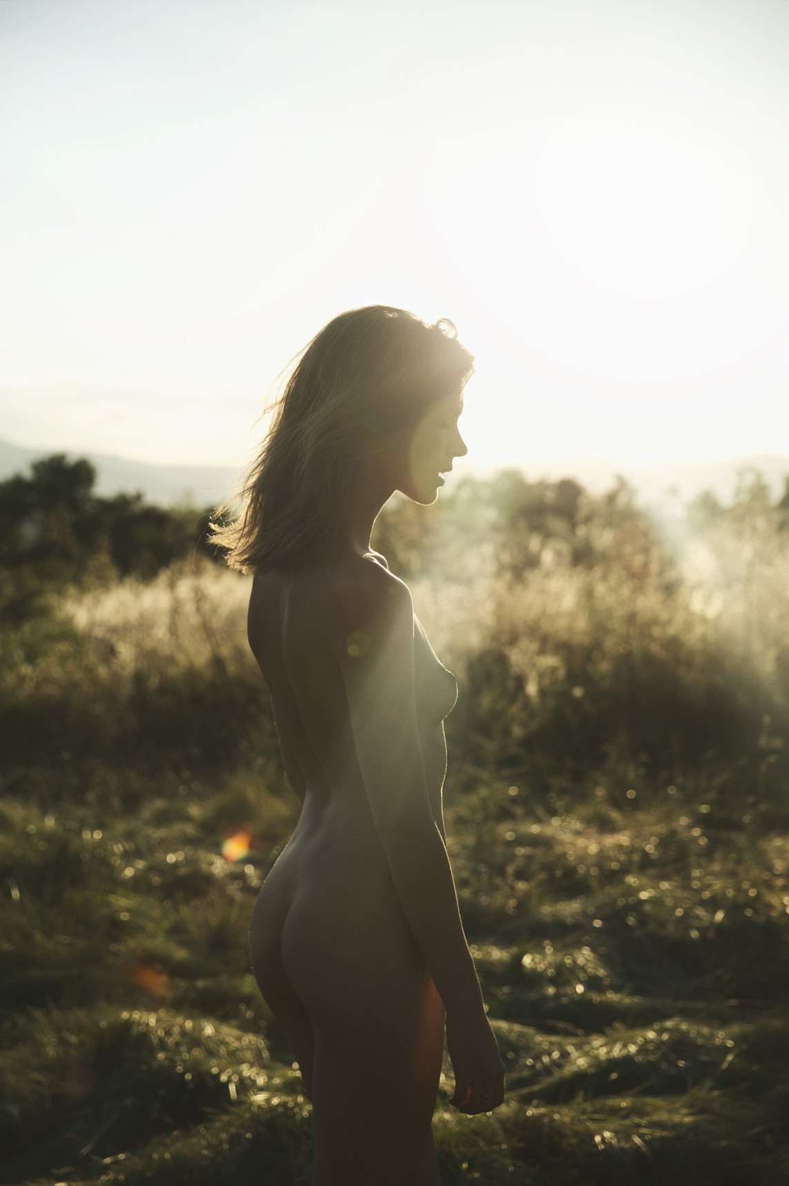 1142x1717, 218 Kb / Djaja Baecke, Alejandro Pereira, гола, поле, рассвет, закат, трава, цветы, лучи, солнце