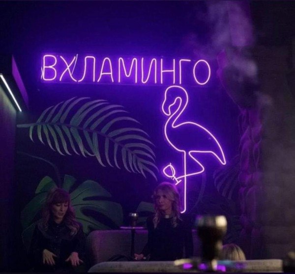 600x559, 49 Kb / неон,свет,заведение, фламинго, вхламинго