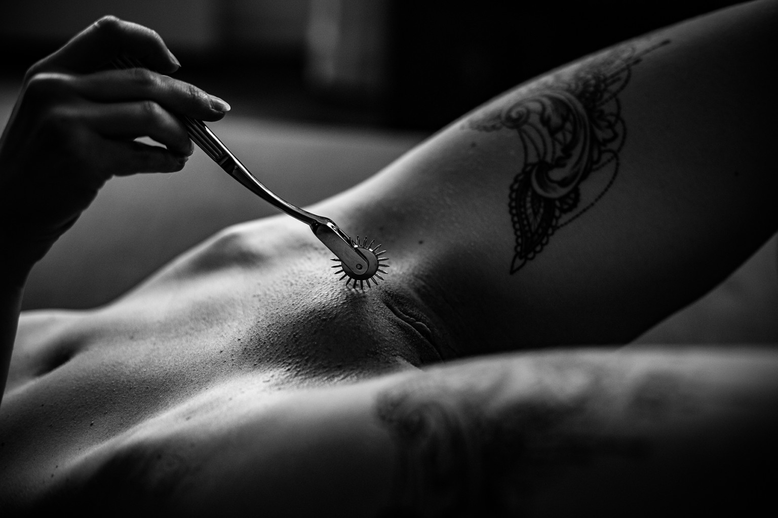 1536x1024, 207 Kb / ч/б, женщина, лобок, вагина, тату, ролик, шипы, Колесо Вартенберга