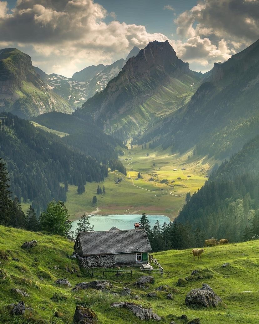 828x1035, 223 Kb / Дом, горы, долина, коровы, озеро, лес, Switzerland, Швейцария, облака