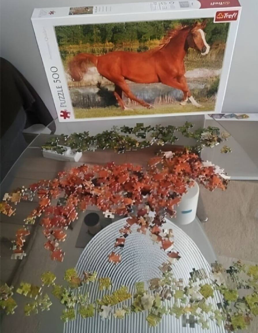 895x1154, 332 Kb / Пазл, puzzle, конь