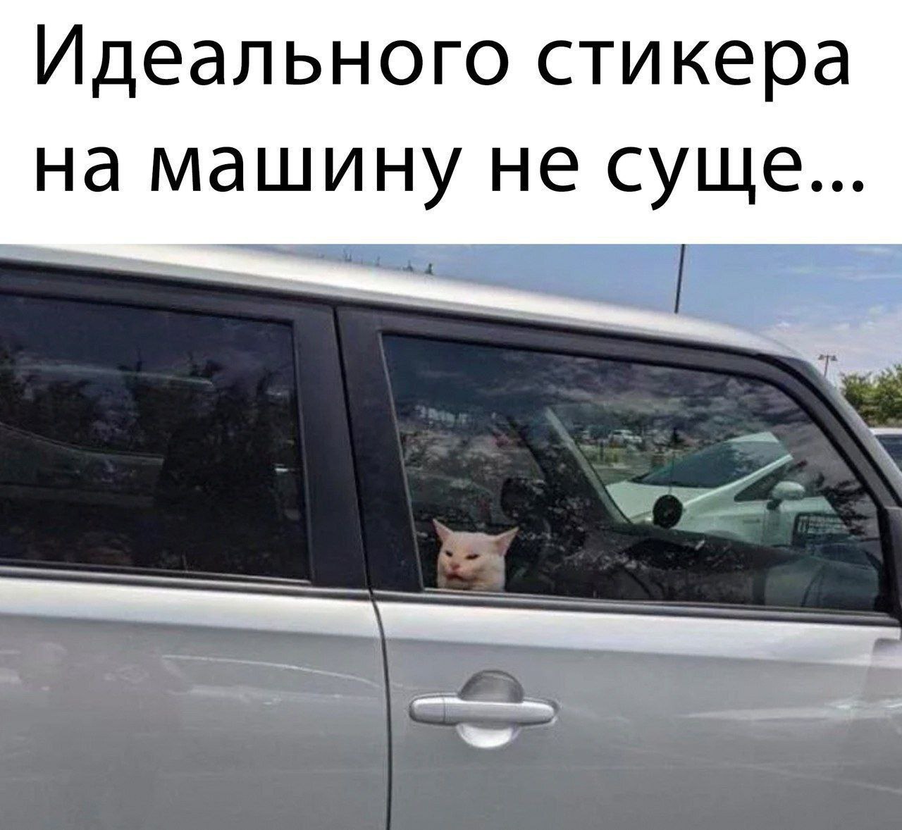 1280x1178, 160 Kb / Мем, кот, кошка, наклейка, стикер