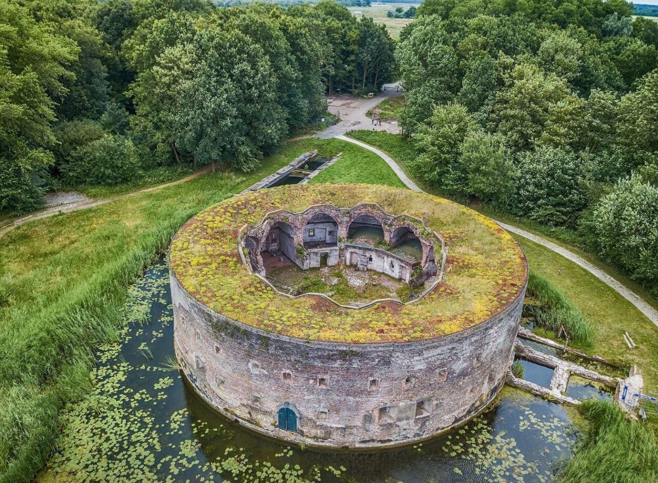 1280x940, 465 Kb / крепость, замок, пруд, кувшинки, лес