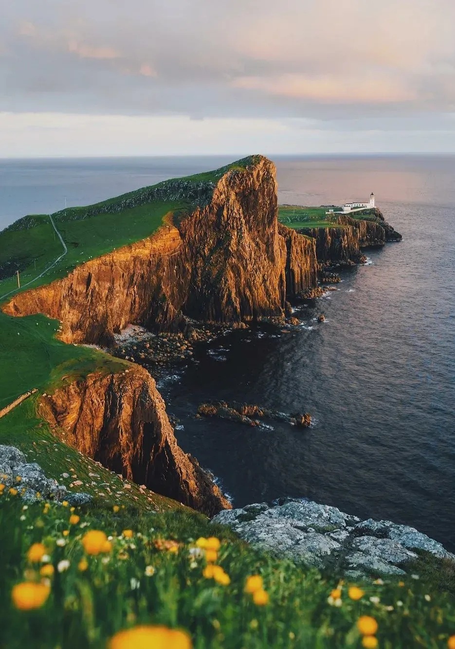 935x1334, 338 Kb / Горы, скалы, побережье, берег, обрыв, цветы, трава, маяк, остров, Скай, Шотландия