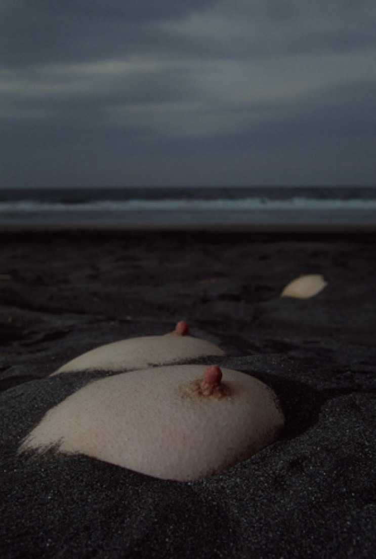 743x1104, 109 Kb / Чёрный, песок, соски, мурашки, пупырышки, берег, пляж