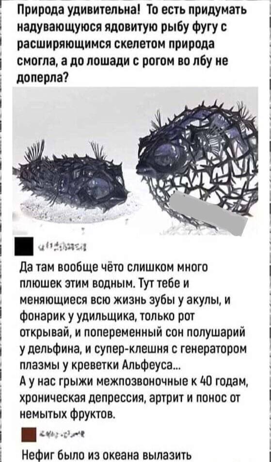 559x952, 74 Kb / рыбы, фугу, скелет, лошадь, плюшки