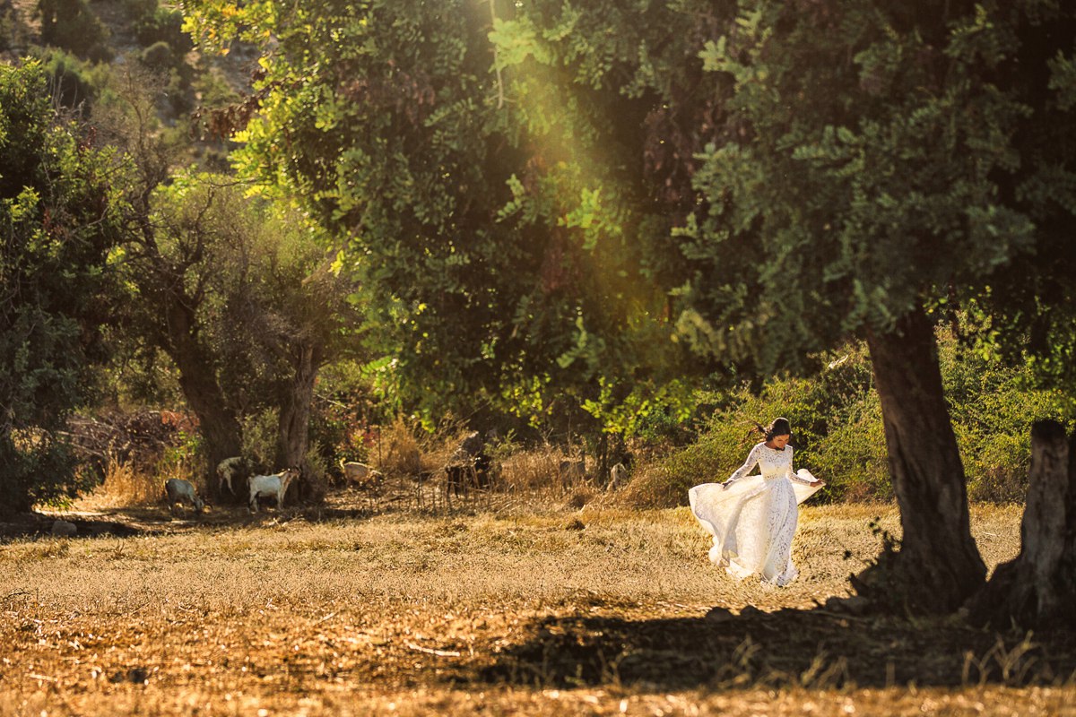1200x800, 462 Kb / женщина, платье, белое, козы, деревья, лучи, солнце