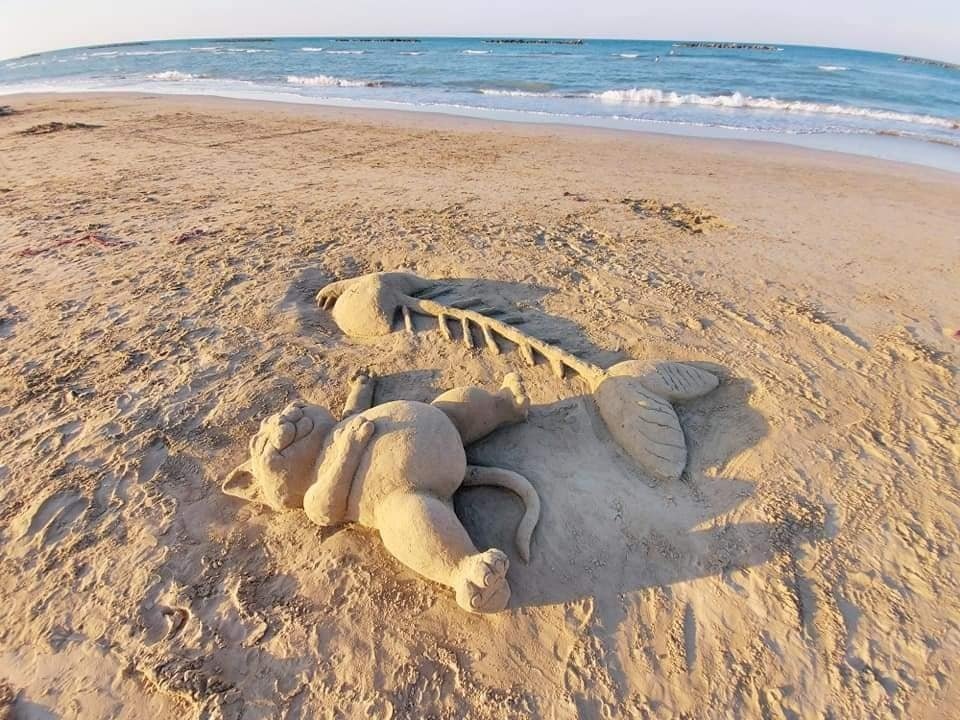 960x720, 275 Kb / кот, рыба, скелет, песок, вода