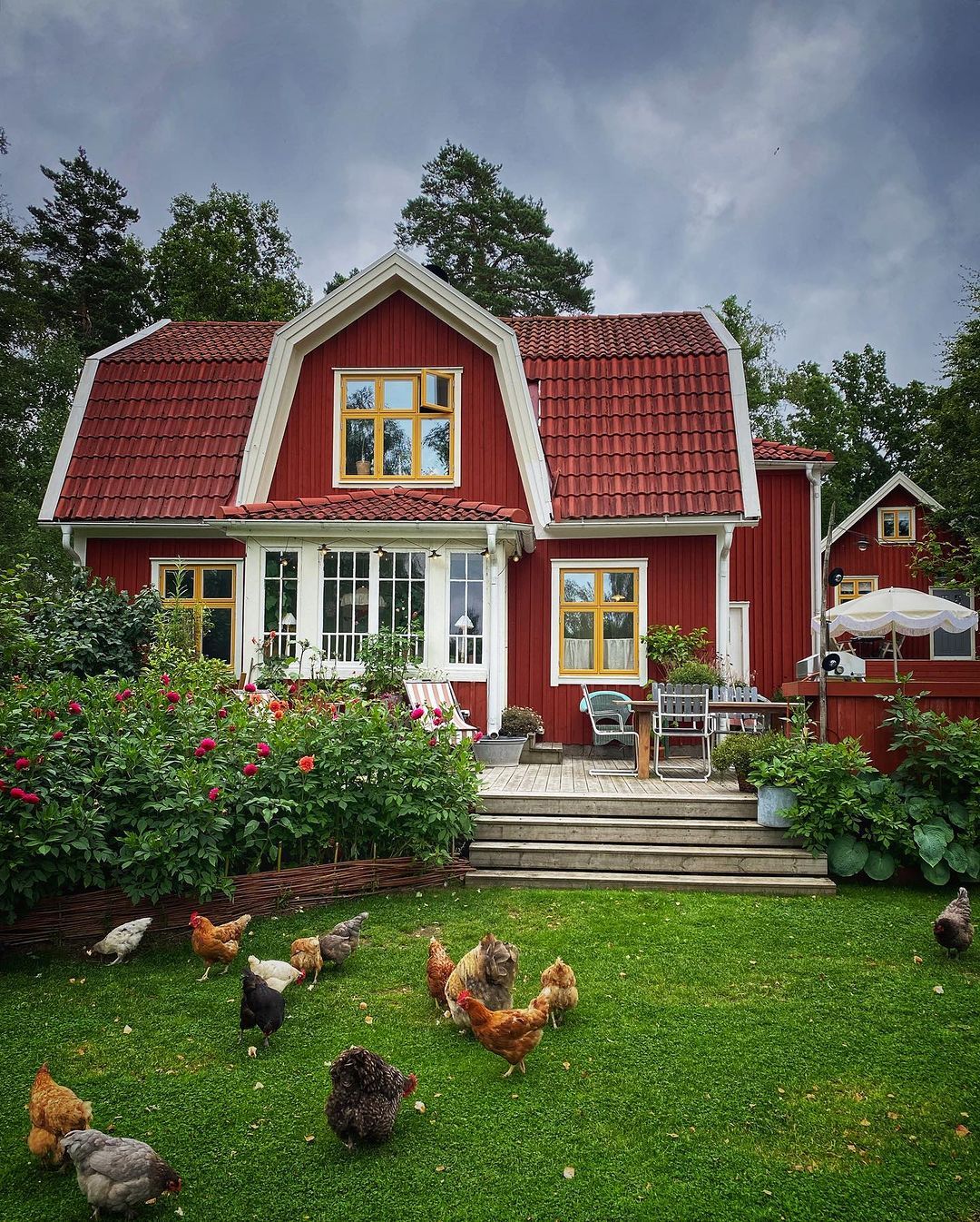 1080x1346, 458 Kb / Домик в деревне, дом, дача, курицы, петух, клумба, цветы