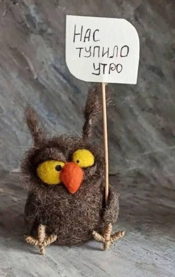 564x891, 44 Kb / Сова, плакат, игрушка, нас, тупило, утро