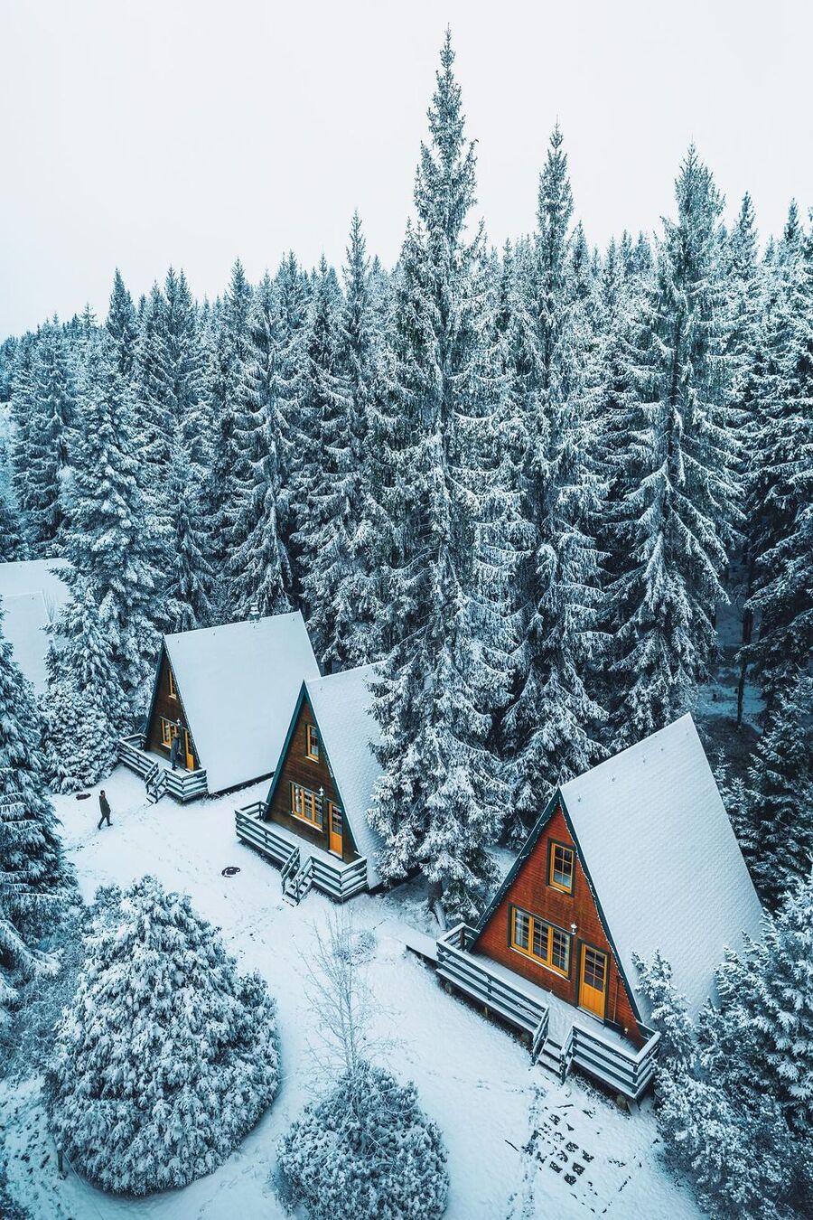 900x1350, 398 Kb / Снег, домик в деревне, дом, ель, елки, деревья, лес, треугольник