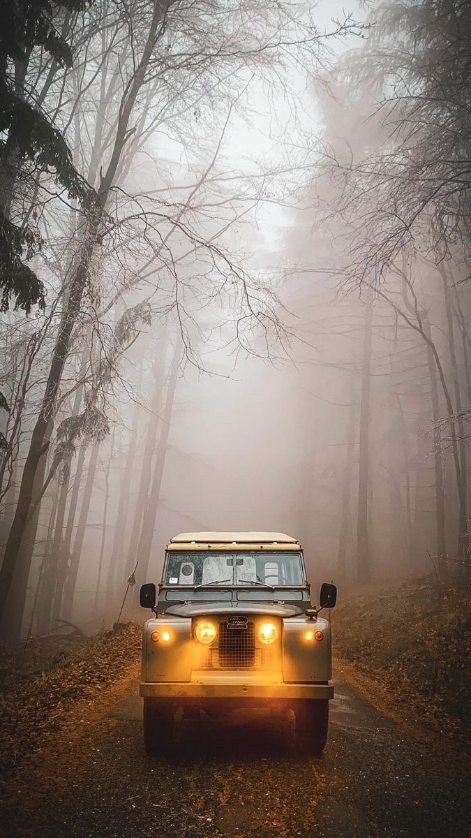 675x1200, 202 Kb / автомобиль, классика, ретро, land rover, лес