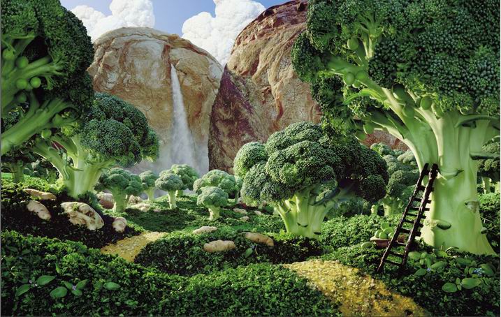 717x454, 102 Kb / фото, продукты