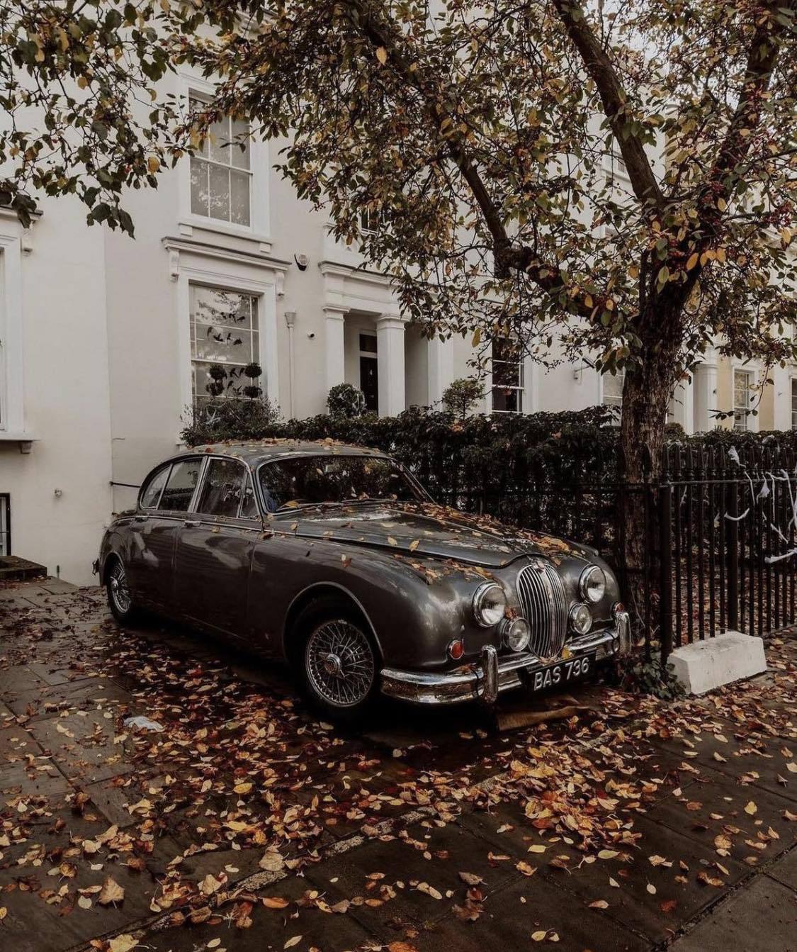 1125x1343, 320 Kb / автомобиль, классика, ретро, осень, листья, дерево, забор, решетка