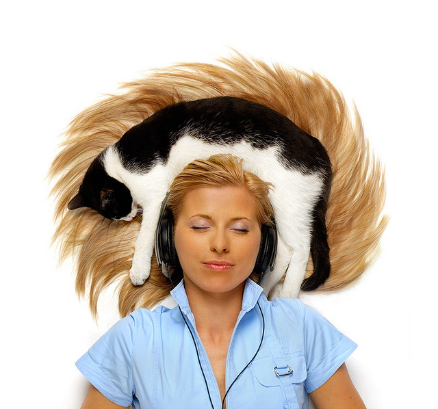 640x598, 148 Kb / девушка, кот, наушники, волосы