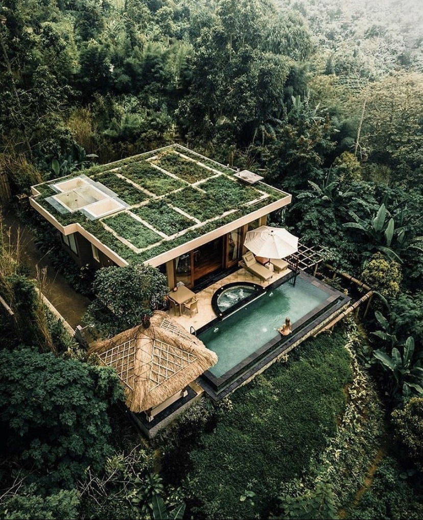828x1018, 438 Kb / Дом, домик в деревне, сверху, лес, джунгли, пальмы, бассейн, зонт, терраса, шезлонг