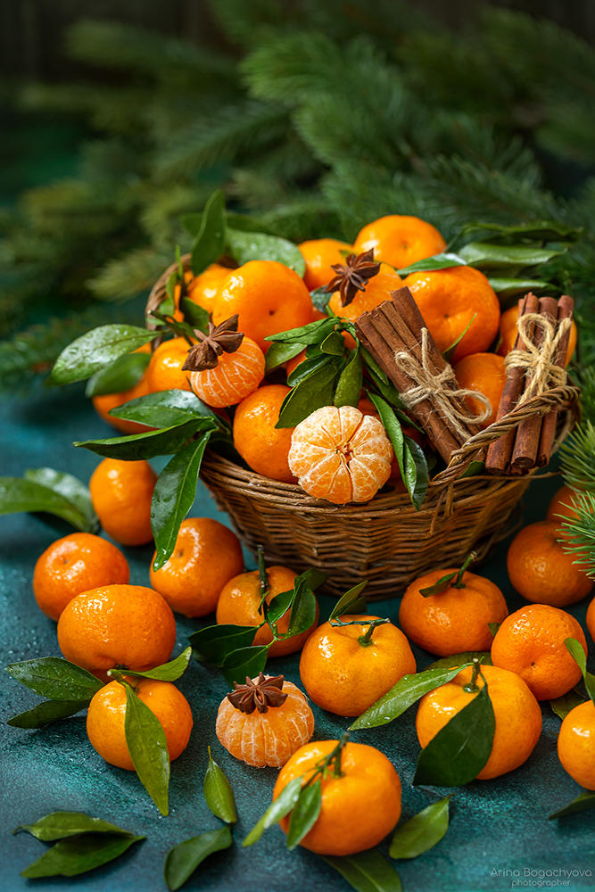 667x1000, 147 Kb / Мандарины, анис, корица, ёлка, корзинка, Арина Богачёва