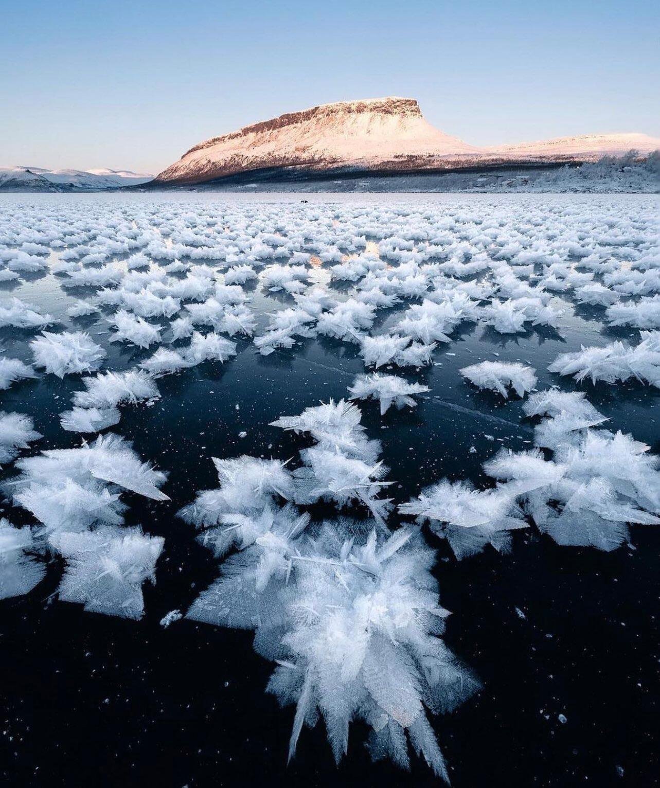 1283x1532, 384 Kb / Финляндия, лед, гора, ледяной цветок, снежная роза