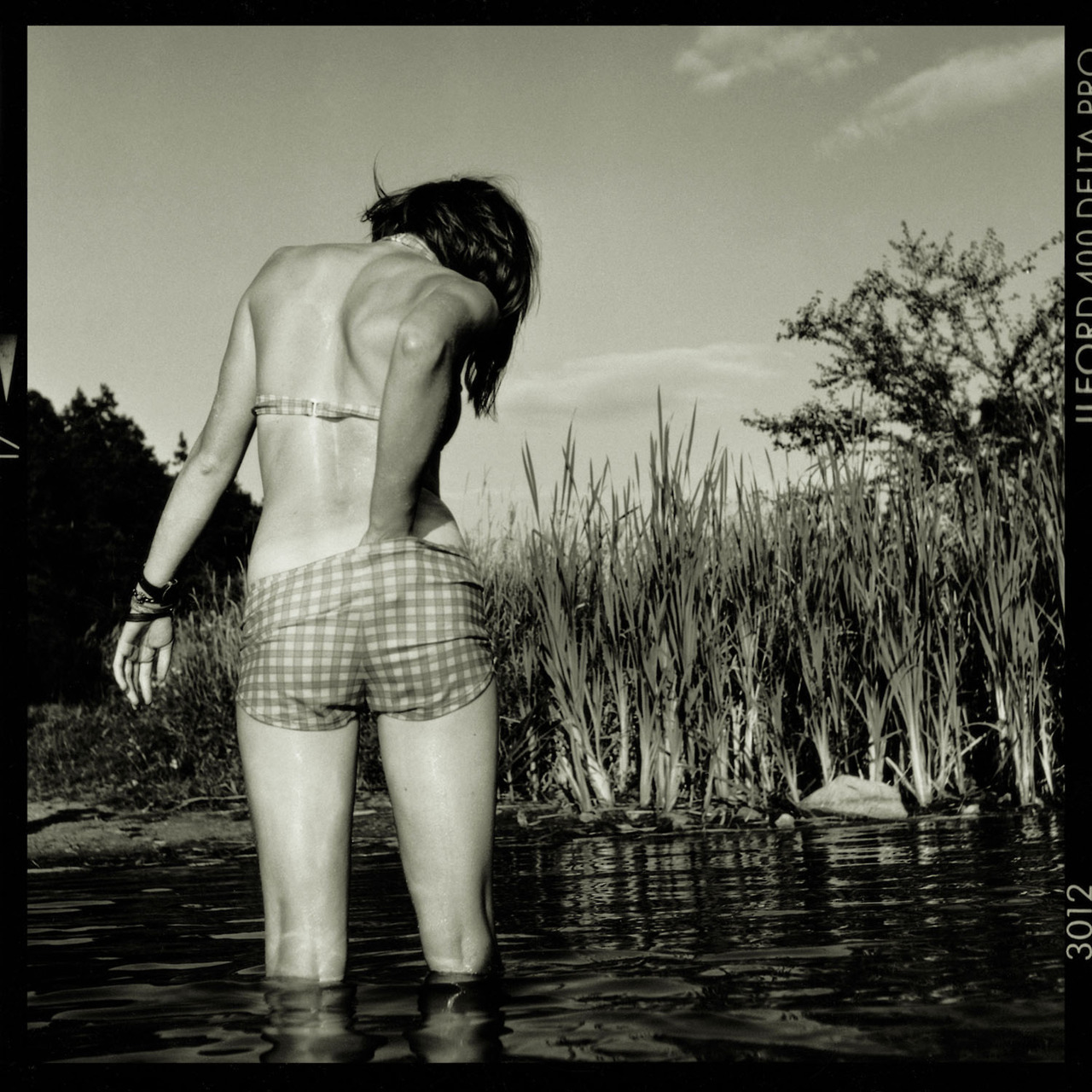 1280x1280, 411 Kb / ч/б, водоём, клетка, камыш