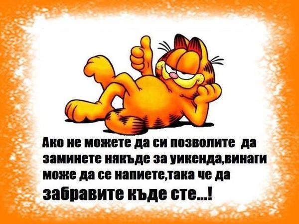 600x449, 59 Kb / кот