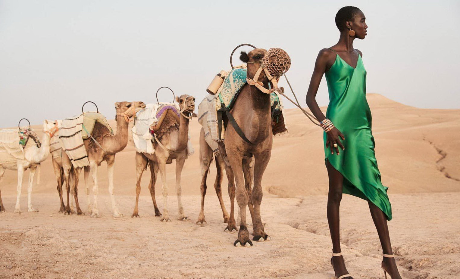 1527x927, 285 Kb / верблюды, караван, песок, чёрный, зелёный, платье, негритянка