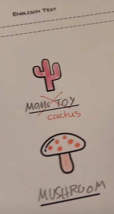 456x855, 21 Kb / Кактус, игрушка, гриб, задание