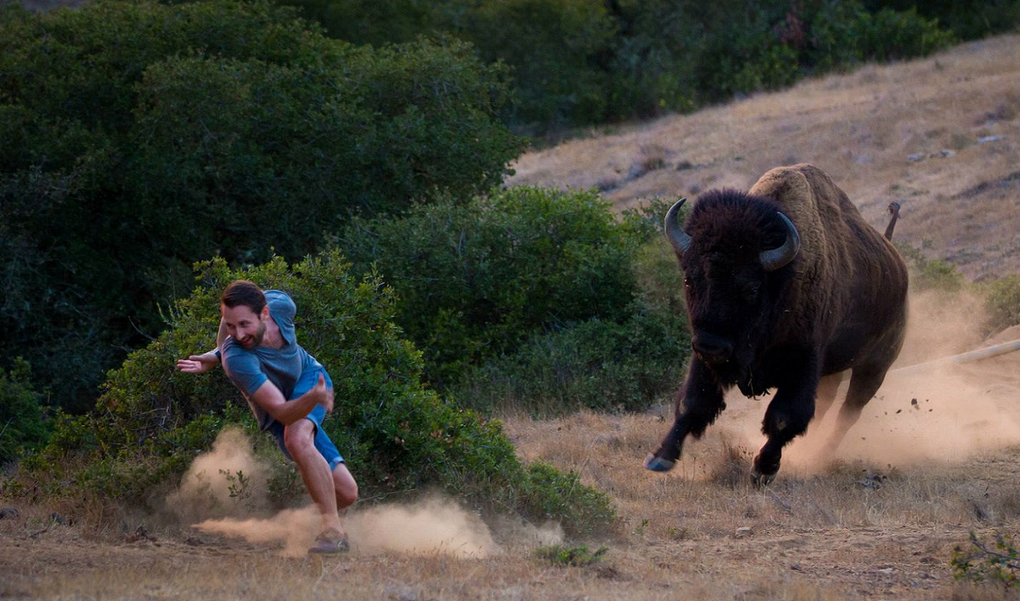 1428x841, 388 Kb / мужчина, бык, зубр, погоня, пыль, кусты