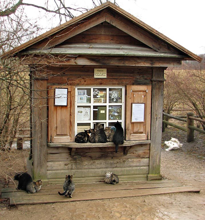 717x768, 147 Kb / коты, касса, очередь