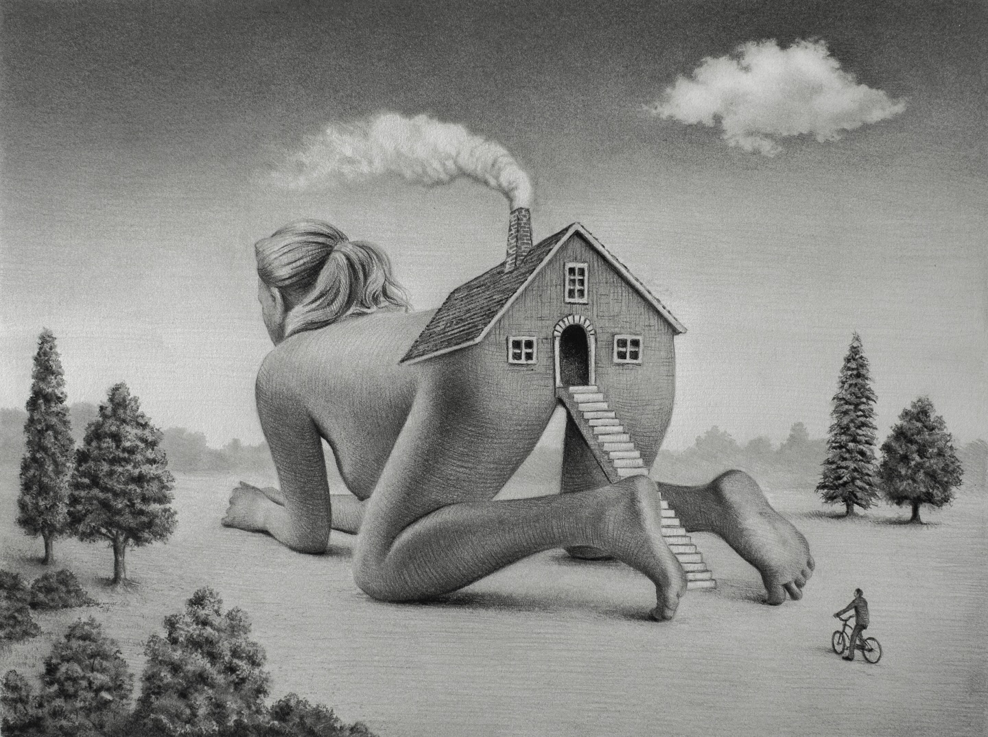 1440x1075, 576 Kb / Домохозяйка , графика, рисунок, Raoof Haghighi, лес, поле, лестница, мужик на велосипеде