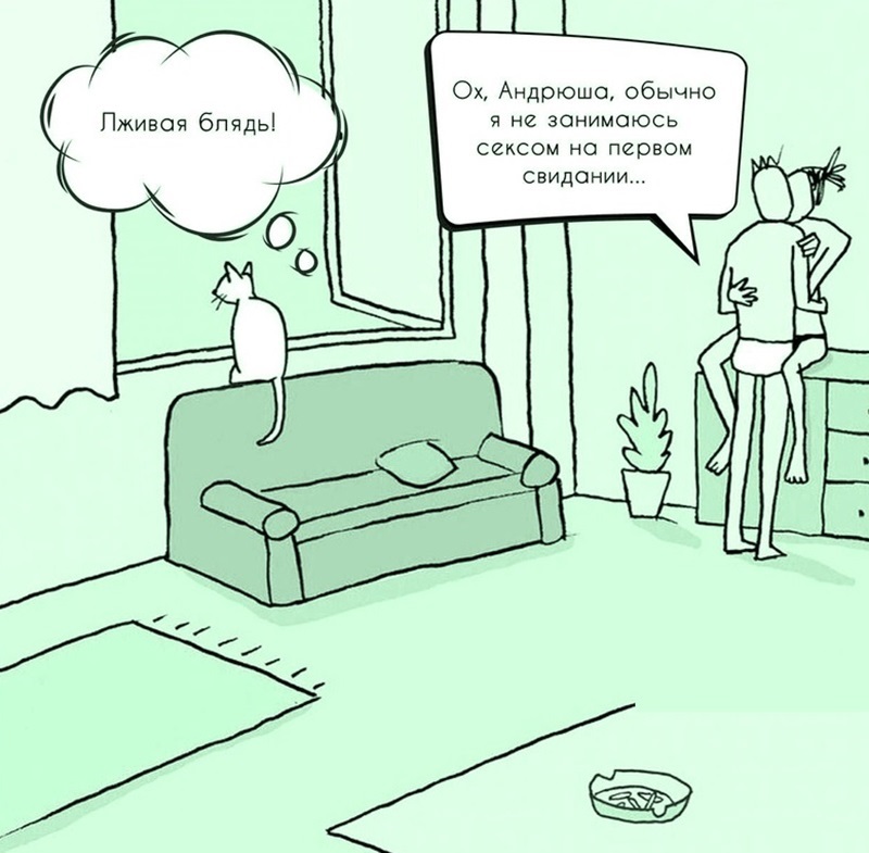 800x785, 130 Kb / кот, лживая блядь, диван, пепельница