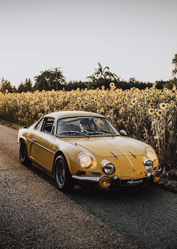 745x1043, 271 Kb / автомобиль, классика, ретро, Renault, цветы, поле, подсолнух