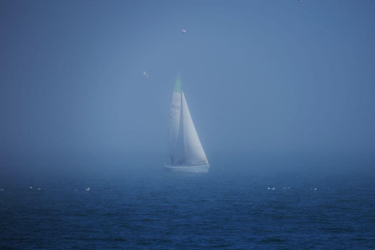 1280x853, 41 Kb / туман,море,паруса,чайки