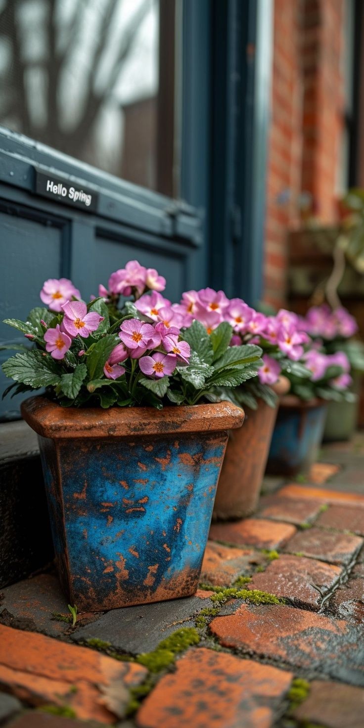 736x1472, 178 Kb / Горшок, цветы, брусчатка