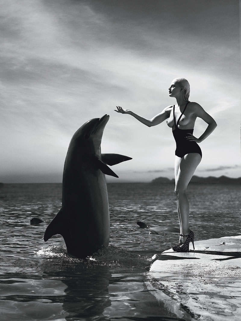 800x1066, 140 Kb / дельфин, ч/б, Guinevere Van Seenus