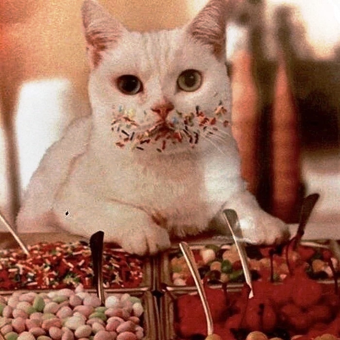 700x700, 239 Kb / кот,морда,сладости