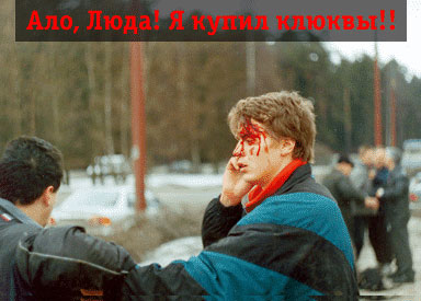 384x275, 31 Kb / клюква