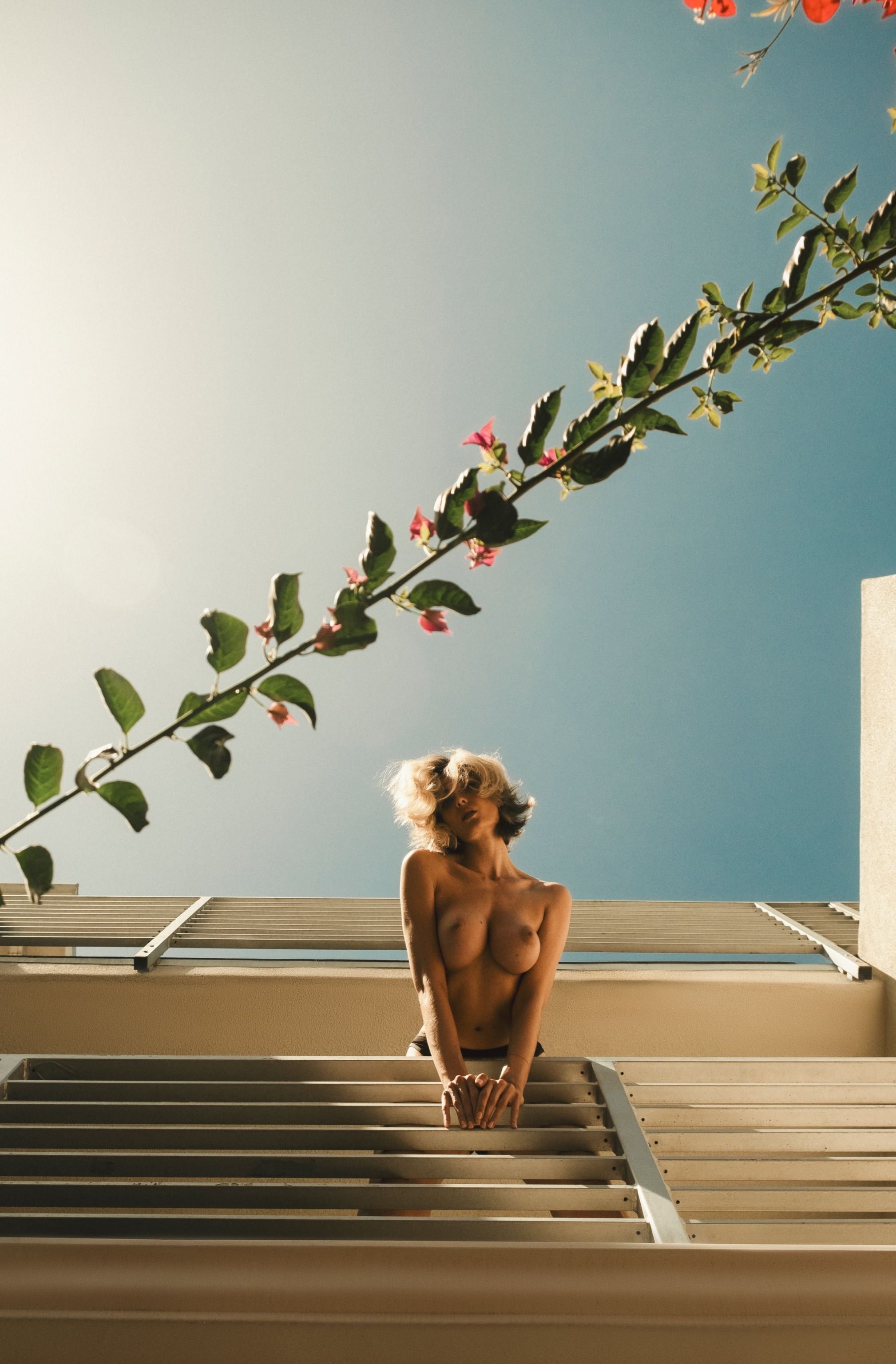 2018x3072, 542 Kb / Anna Lisa Wagner, балкон, перила, дерево, цветы, ветка, снизу