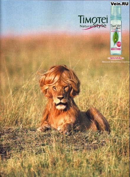 441x600, 61 Kb / лев, шампунь