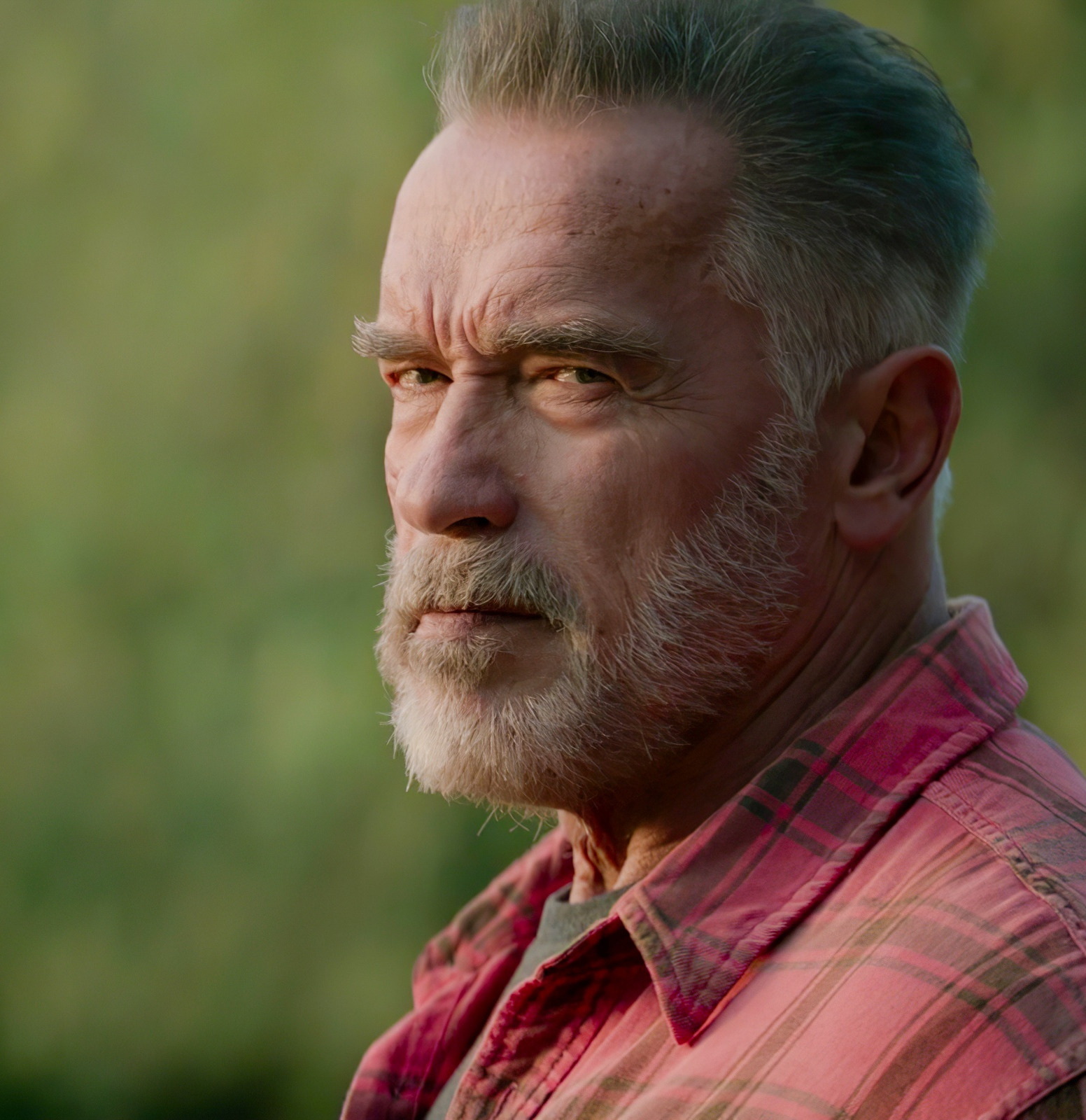 1552x1600, 522 Kb / Арнольд , Шварцнеггер, борода, клетчатая рубашка