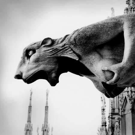 450x450, 24 Kb / горгулья, собор, Милан, ч/б