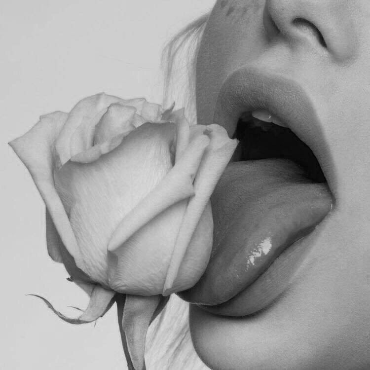 750x750, 50 Kb / роза, ч/б