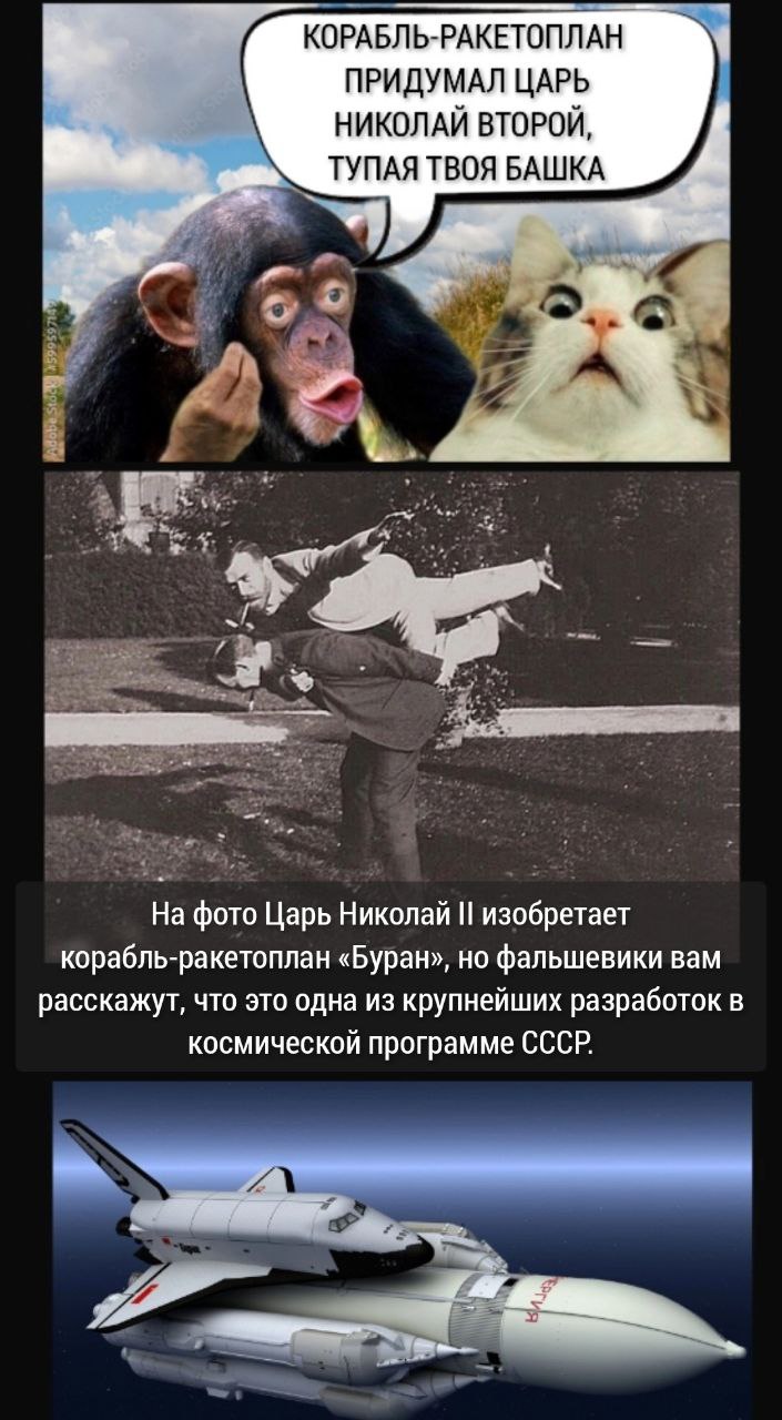 705x1280, 146 Kb / Экраноплан, царь, Николай, Буран, ракетоплан, обезьяна